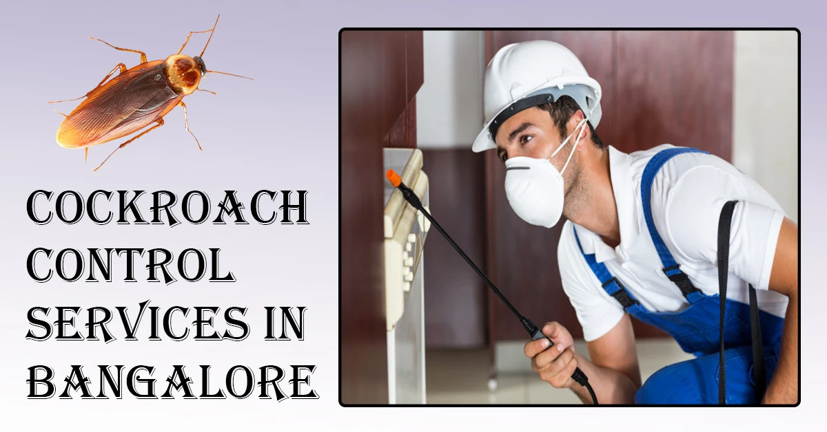 Cockroach Control Services in Bangalore
