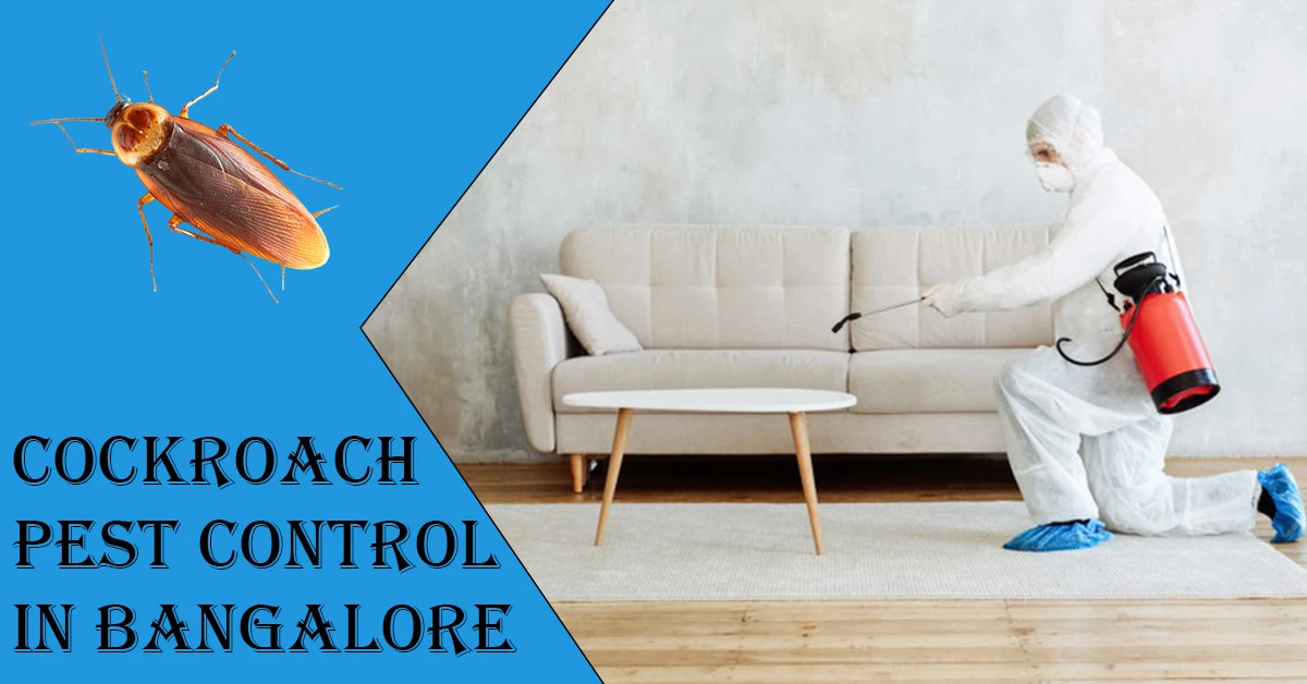 Cockroach Pest Control in Bangalore