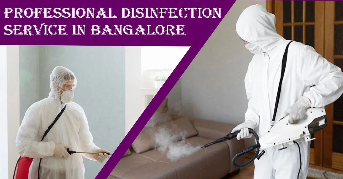 Professional Disinfection Service in Bangalore