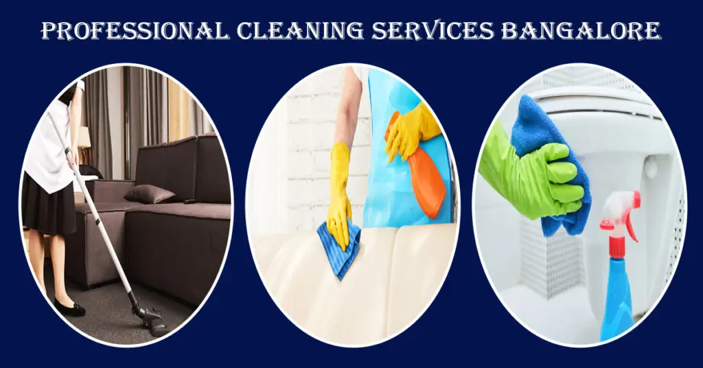 Professional Cleaning Services Bangalore